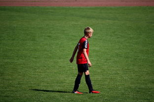 乐鱼娱乐登录-世界拳击青年赛中国选手勇夺金腰带，世界拳击表演赛